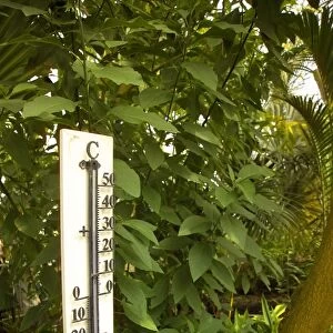 Thermometer showing 30 degrees celsius, interior of Palm House, Kew Gardens