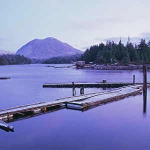 Tofino, Vancouver Island, British Columbia (B. C. ), Canada, North America