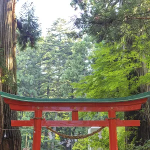 Japan Heritage Sites Collection: Hiraizumi