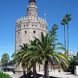 Torre del Oro, Seville, Andalusia, Spain, Europe