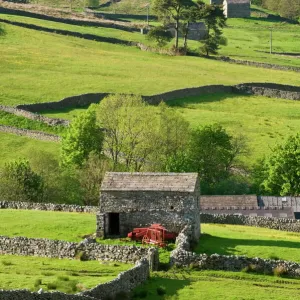 Traditional barns and dry stone walls in Swaledale, Yorkshire Dales National Park