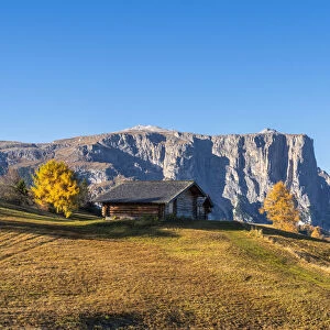 Traditional huts at Alpe di Siusi (Seiser Alm) in autumn with Sciliar peaks in background