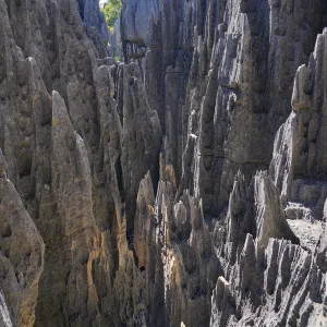 Heritage Sites Collection: Tsingy de Bemaraha Strict Nature Reserve
