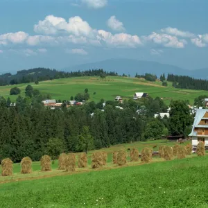 Typical Polish landscape near Zakopane in the Tatra Mountains