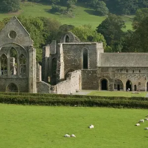Valle Crucis Abbey Print, Llangollen, Wales Valle Crucis Abbey Print, Llangollen, Wales