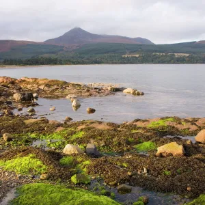 Scotland Photo Mug Collection: Ayrshire