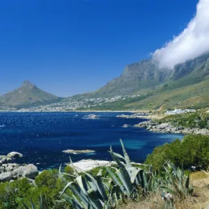 View from Chapmans Peak Drive