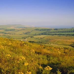 View South from Whiteway Hill, Isle of Purbeck, Dorset, England