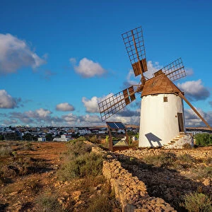 View of traditional windmill in Antigua, Antigua, Fuerteventura, Canary Islands, Spain, Atlantic, Europe