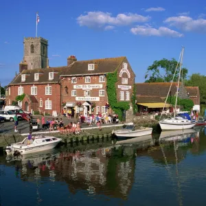 Wareham, Dorset, England, United Kingdom, Europe