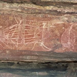 Warrior frieze at the Aboriginal rock art site at Ubirr Rock, Kakadu National Park