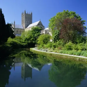 Wells Cathedral Print from the Bishops Palace Grounds Wells Cathedral Print from the Bishops Palace Grounds