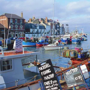 Dorset Photo Mug Collection: Weymouth