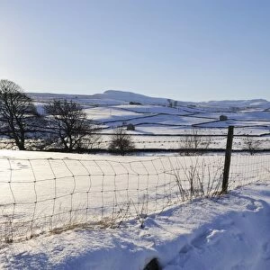 Winter view of snow covered fields, Wensleydale, Yorkshire Dales National Park