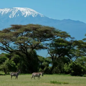 Africa Fine Art Print Collection: Tanzania