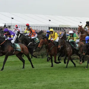 The 2010 Grand National