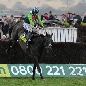 AP McCoy on Denman jumps the final fence of the 2010 Gold Cup