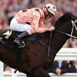 Black Caviar at Royal Ascot