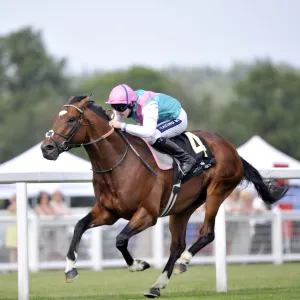 Frankel - 2011 St James Palace Stakes