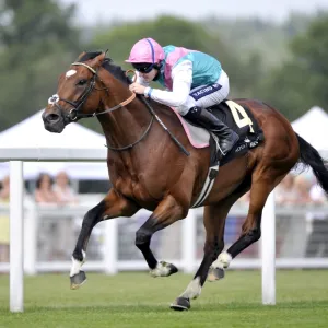 Frankel - 2011 St James Palace Stakes