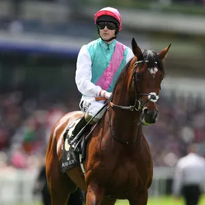 Frankel ridden by Tom Queally - Royal Ascot 2012