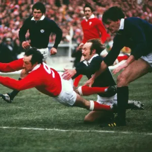 Gareth Edwards scores his last try for Wales in 1978