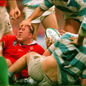 January Gallery: 10 Jan 1999