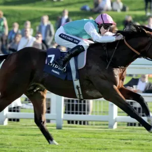 Frankel Print - 2011 Queen Elizabeth II Stakes at Ascot Frankel Print - 2011 Queen Elizabeth II Stakes at Ascot