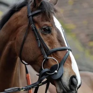 Kauto Star Print, Cheltenham Festival Entry Preview Kauto Star Print, Cheltenham Festival Entry Preview