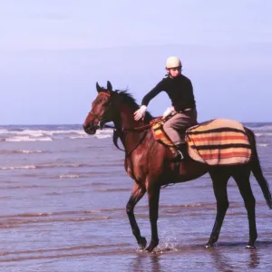 Red Rum in the Sea Print Red Rum in the Sea Print