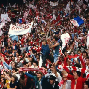 Nottingham Forest fans during the 1979 European Cup Final