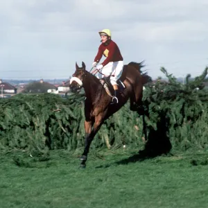 Red Rum clears the last on the way to winning the 1977 Grand National