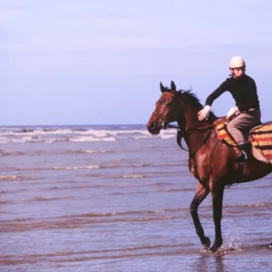 Red Rum in the sea off Southport beach