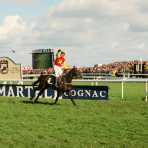 Richard Dunwoody wins the 1994 Grand National on Miinnehoma