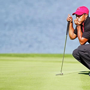 Sports Stars Collection: Tiger Woods
