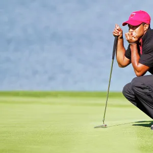 Sports Stars Fine Art Print Collection: Tiger Woods