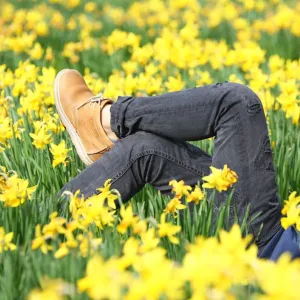 Legs amongst the Spring Daffodils in St. James Park, London