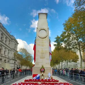 Poppy Wreaths at the Cenotaph, Remembrance Sunday, London