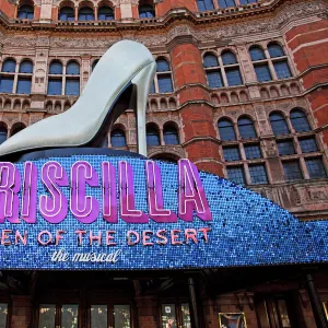 Priscilla, Queen of the Desert musical