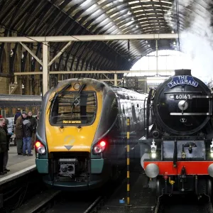 Tornado Steam Train