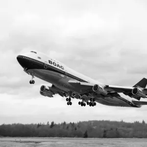 Flight Fine Art Print Collection: Airliner