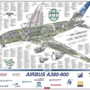 Airbus A380-800 Cutaway Poster