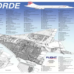 Aeroplanes Jigsaw Puzzle Collection: Concorde