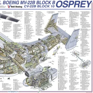 Cutaways Photographic Print Collection: Military Helicopter Cutaways