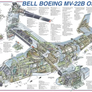 Bell Cutaway