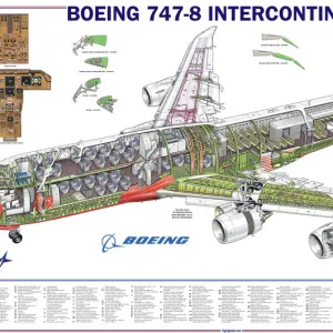 Boeing 747-8 Cutaway