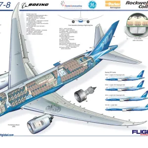 Aeroplanes Jigsaw Puzzle Collection: Boeing 787