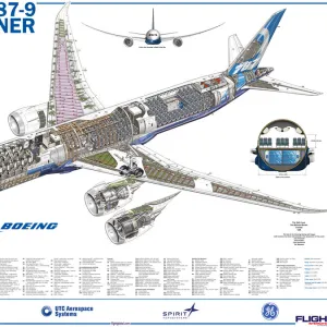 Aeroplanes Jigsaw Puzzle Collection: Boeing 787