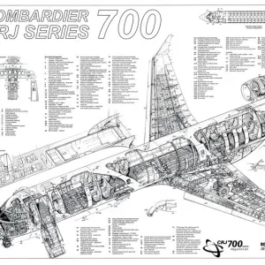 Bombardier Cutaway