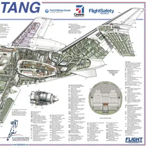 Popular Themes Collection: Cessna Cutaway